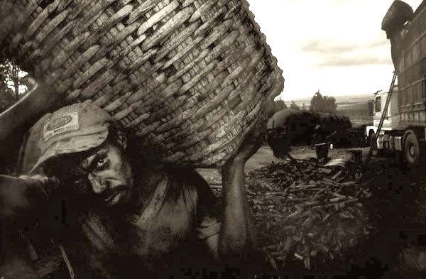 Trabalhador em carvoaria em Minas Gerais.