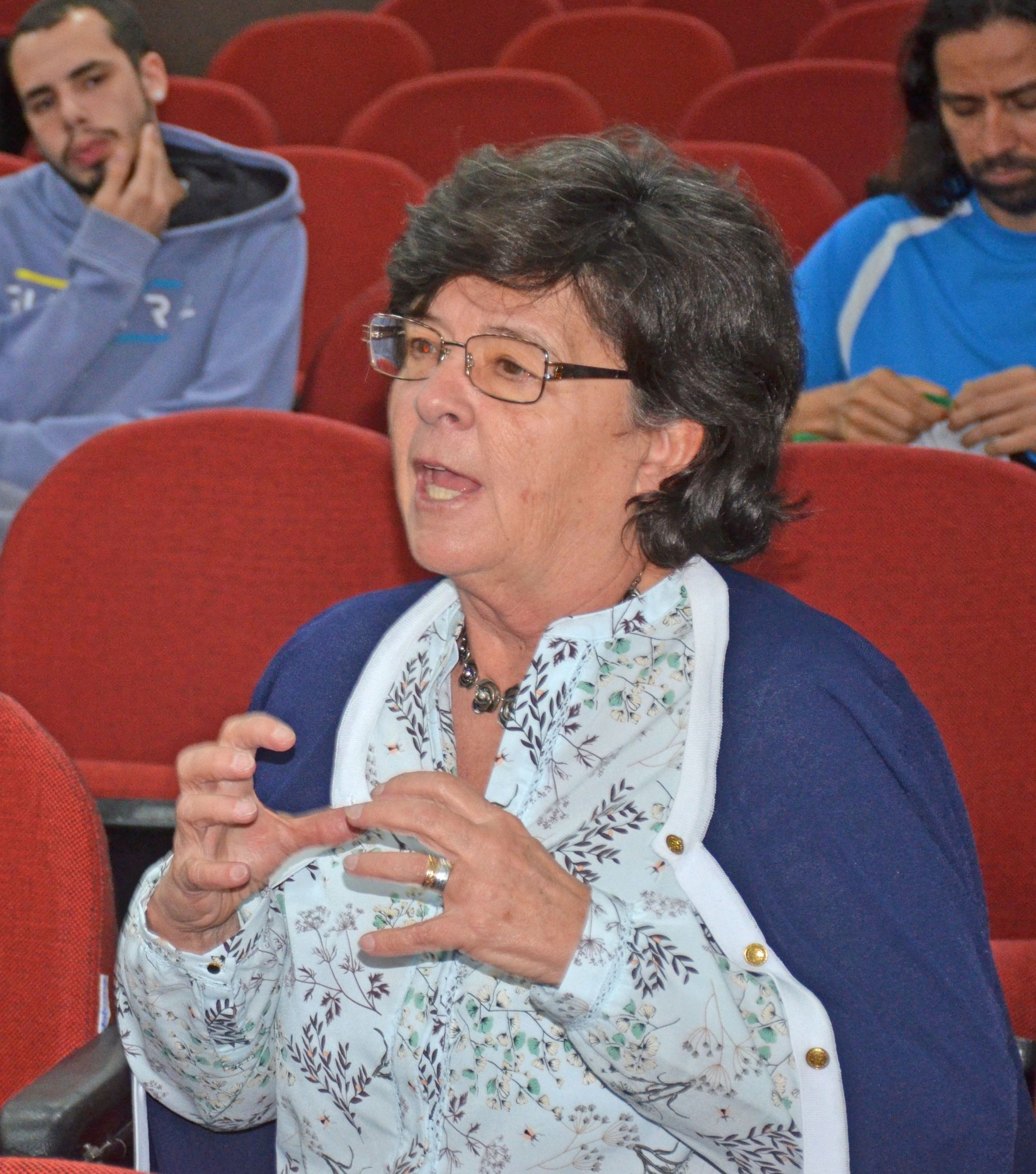 Isabel Ferin coordena a seção portuguesa do projeto Observatório de Ficção Ibero-Americano e desenvolve projeto na área de comunicação e política