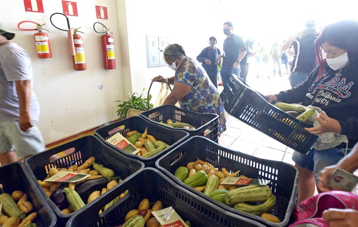 A Feira Livre reuniu diversas pessoas na sede o Banco de Alimentos, nesta quinta-feira, dia 5 