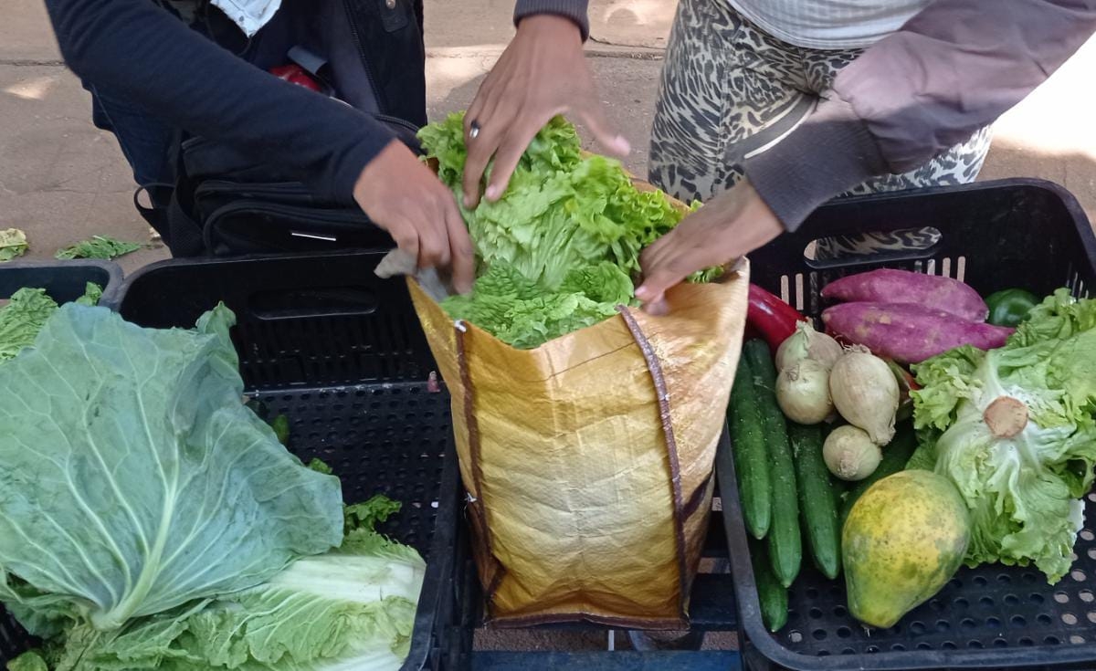 A ONU estima que uma em cada dez pessoas adoecem após consumir alimentos contaminados