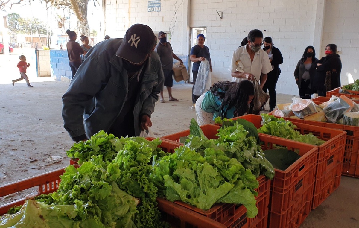 Alimentos foram distribuídos para 80 famílias em vulnerabilidade social e alimentar de Sorocaba