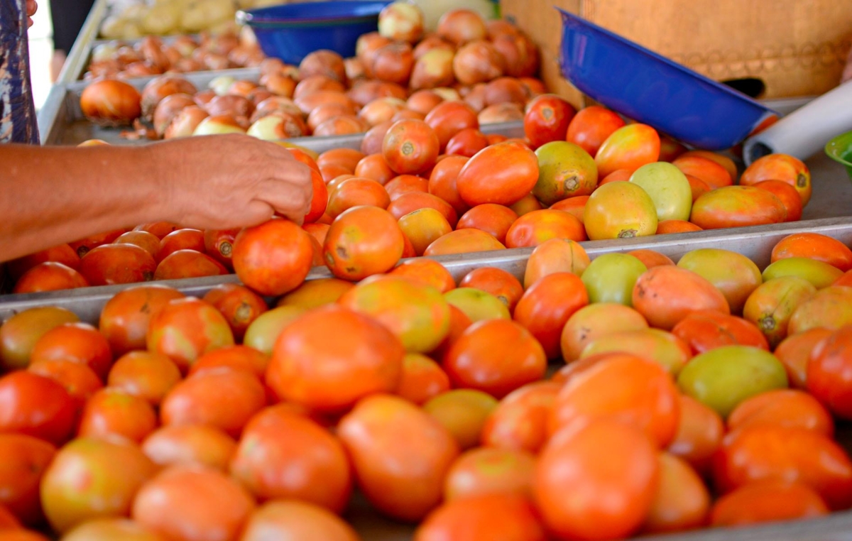 Alimentos como tomate e cenoura, além da gasolina, foram alguns dos itens em alta neste mês, segundo o IBGE