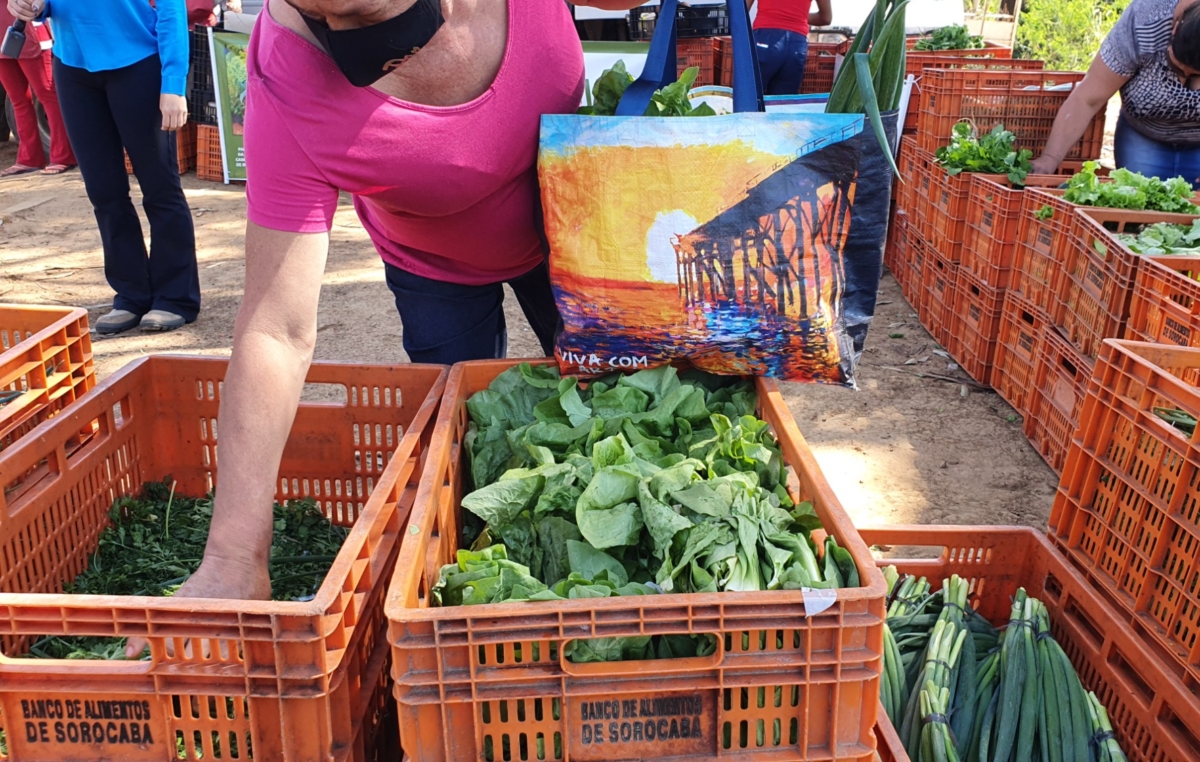 Dia Mundial da Segurança dos Alimentos é celebrado dia 7 de junho