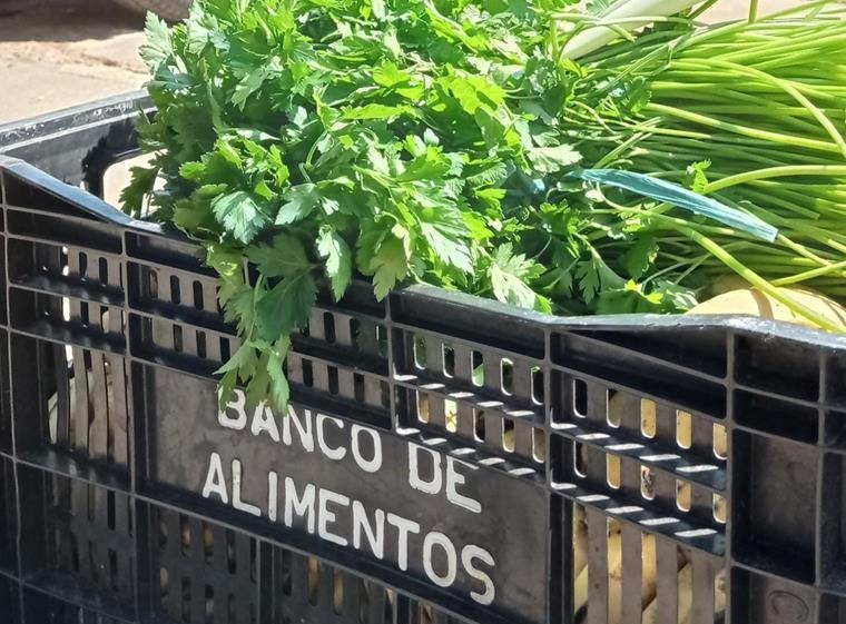 Voluntárias do Banco de Alimentos em arrecadação no Makro Sorocaba