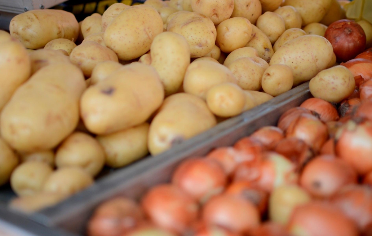 A batata e a cebola foram os produtos que mais tiveram queda em fevereiro 